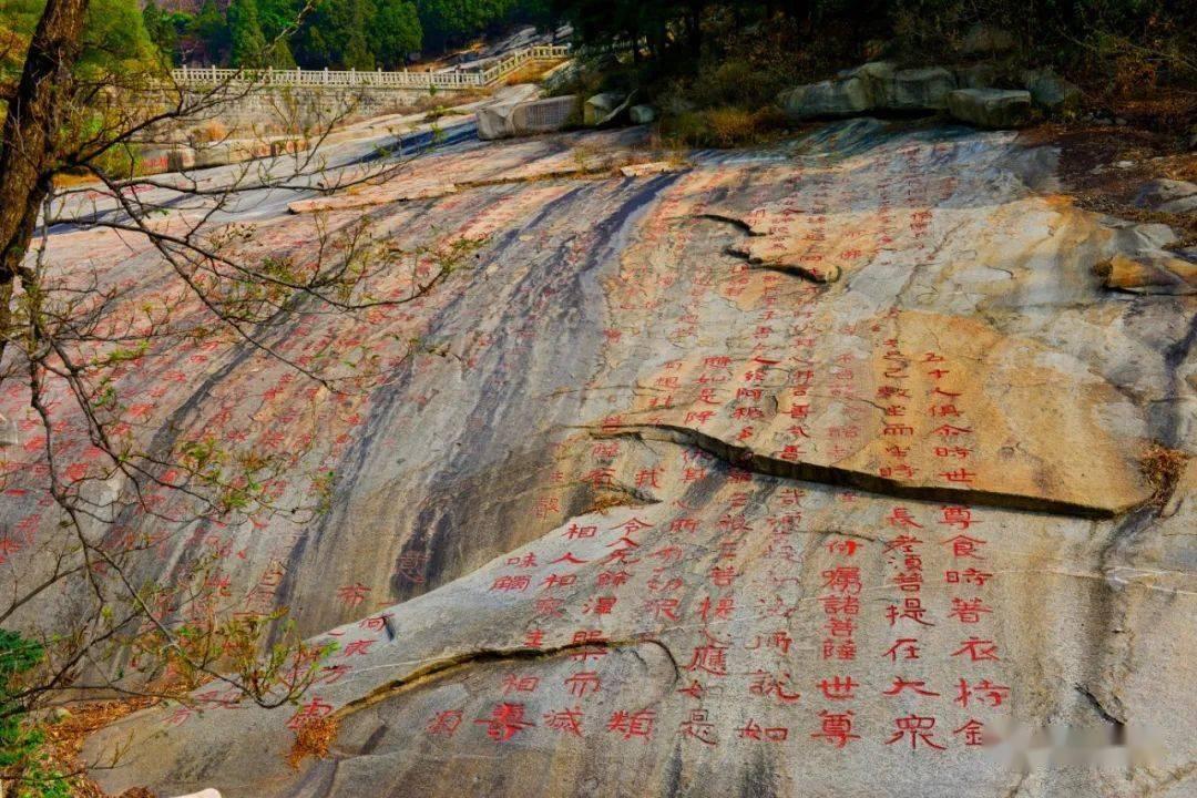 逃离未知丛林